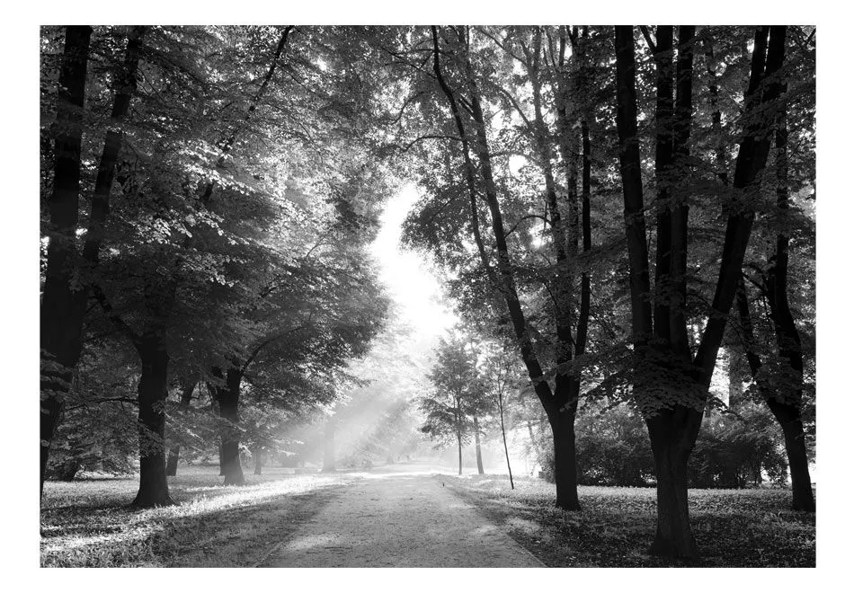 Fototapeta - Ścieżka wspomnień-2