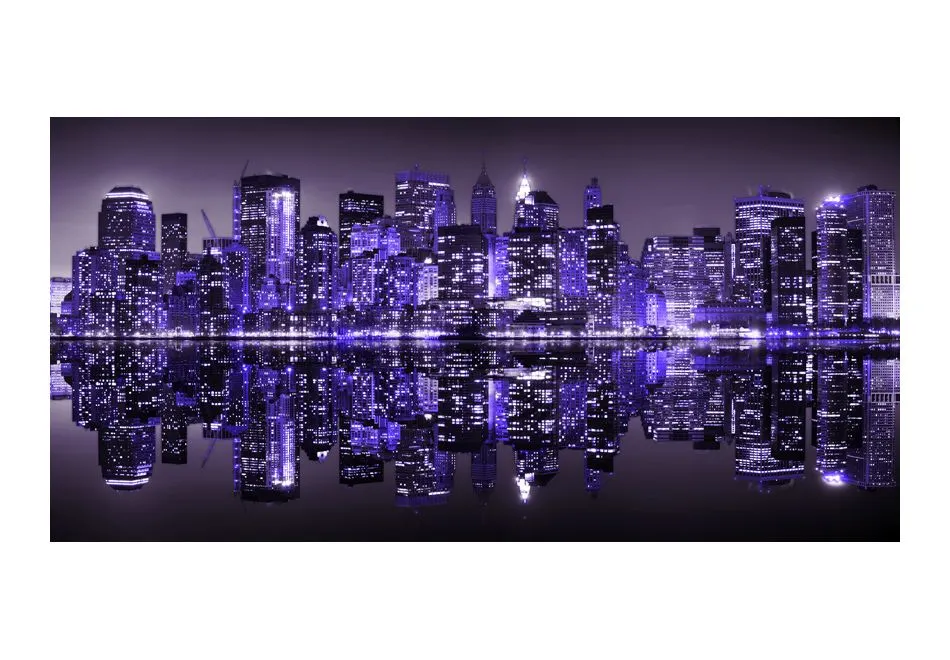 Fototapeta XXL - American violet-2