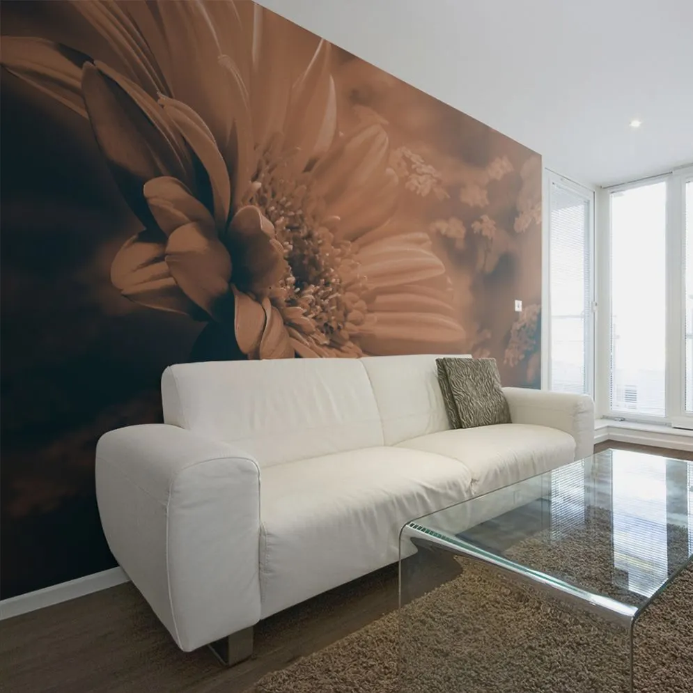 Fototapeta - Gerbera w brązach-1