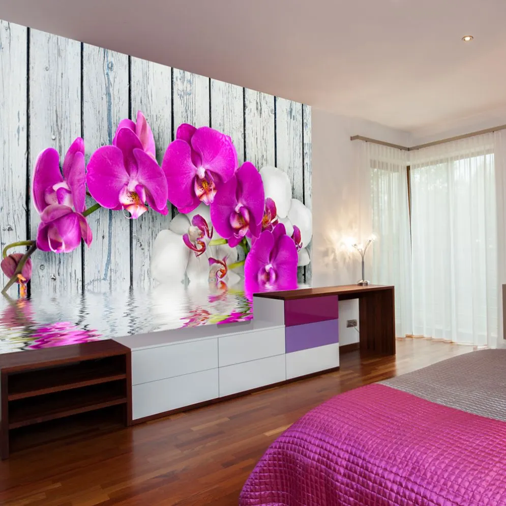 Fototapeta - Violet orchids with water reflexion-1