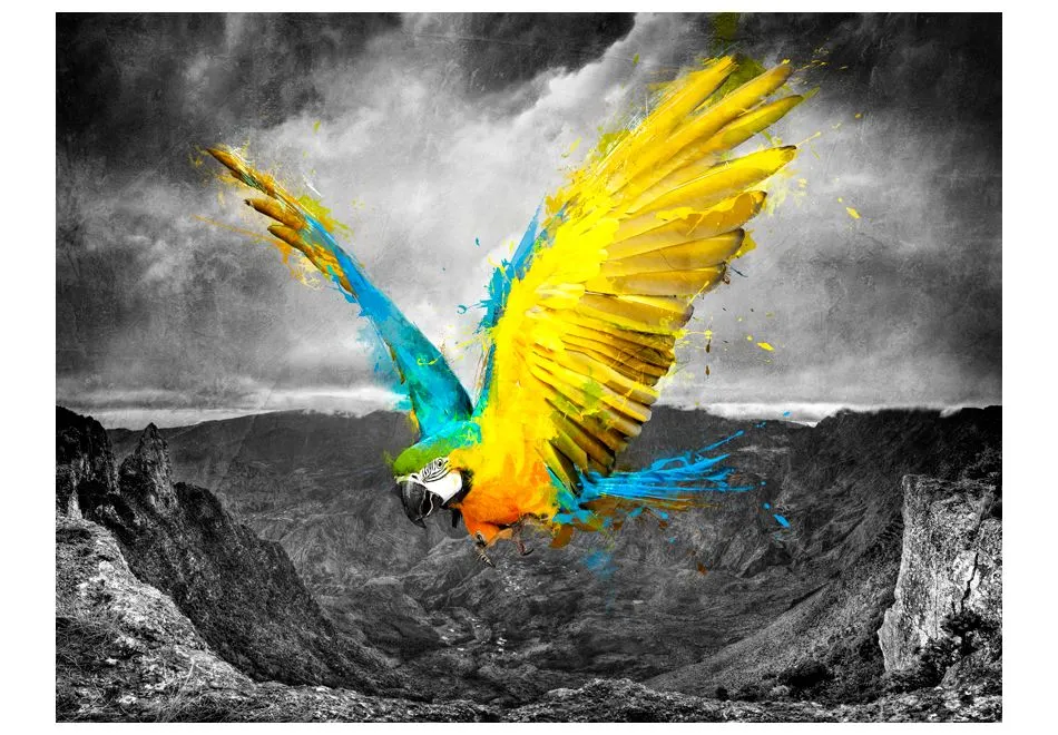 Fototapeta - Exotic parrot-2