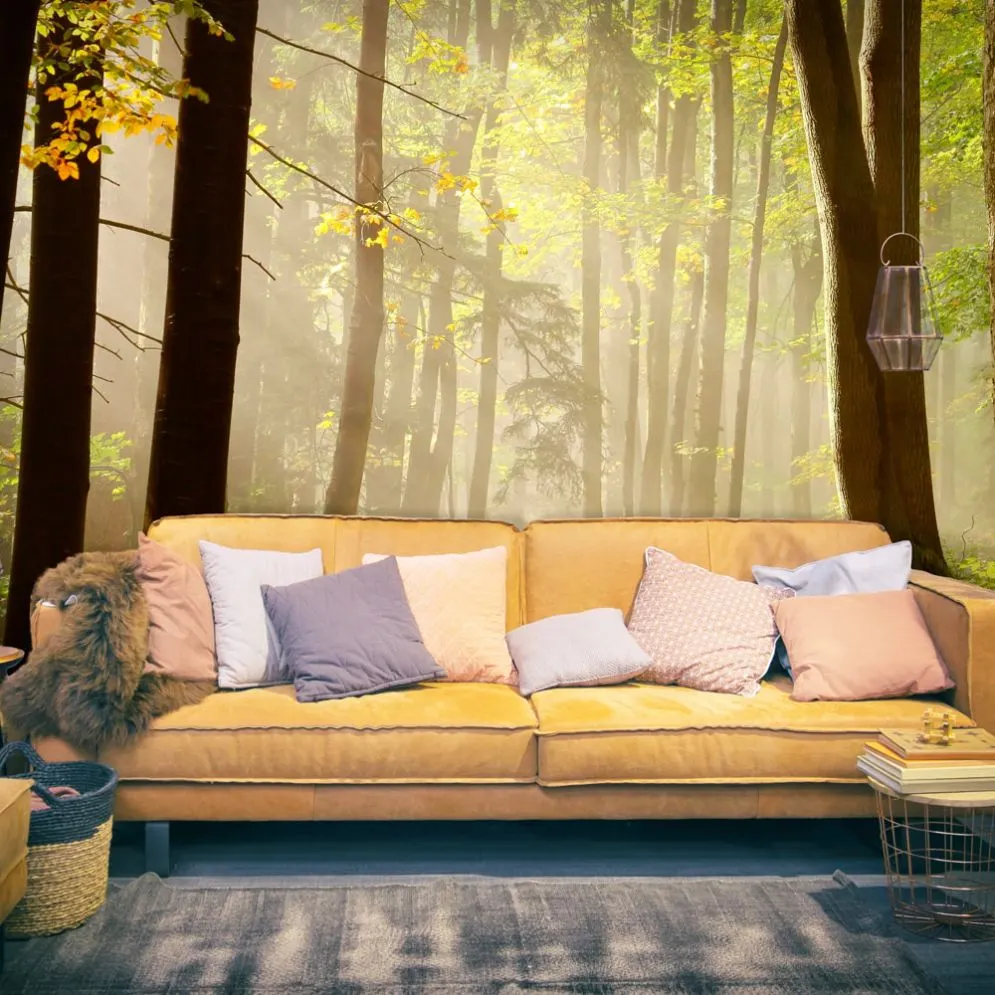 Fototapeta - Mysterious forest path-1