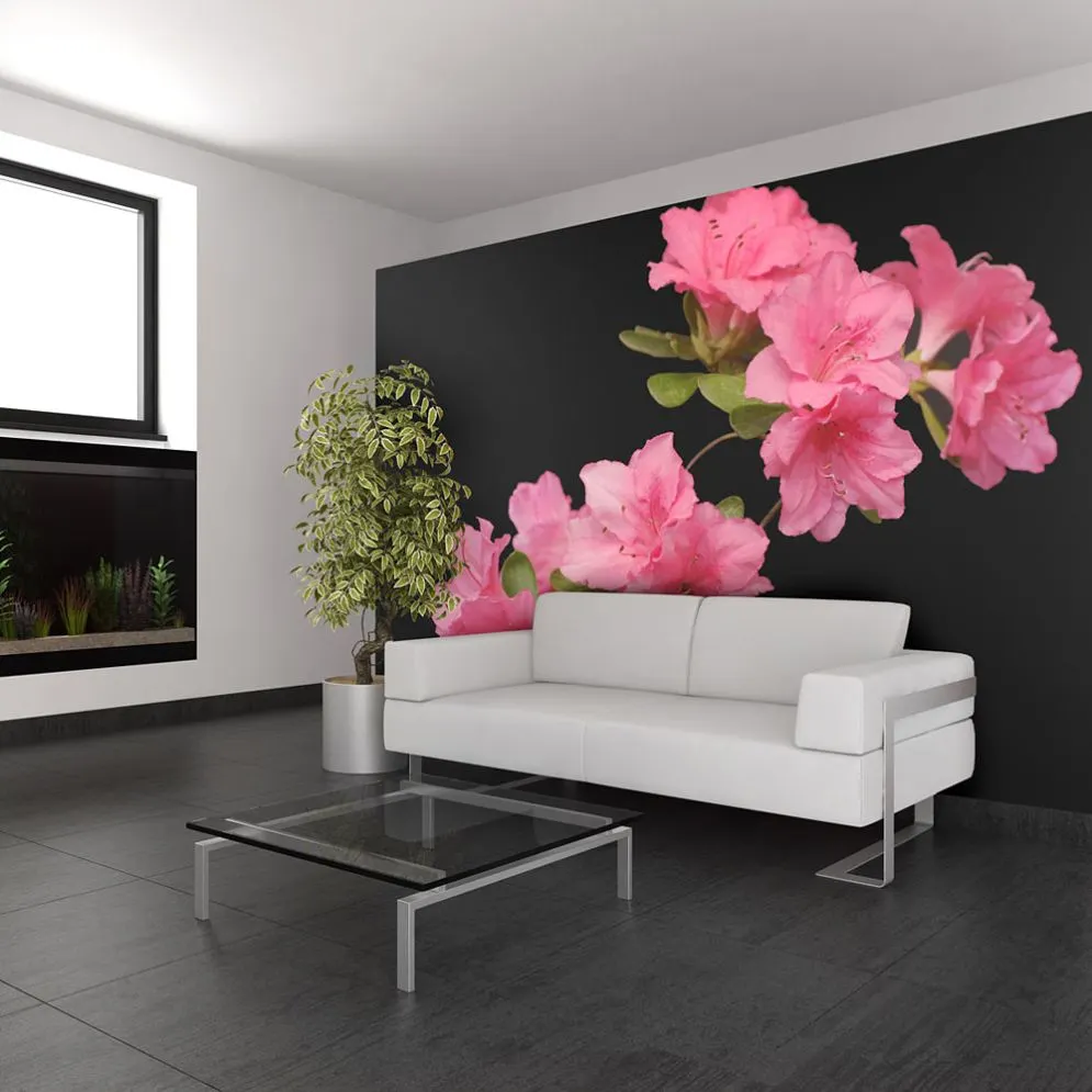 Fototapeta - Azalea in Black-1