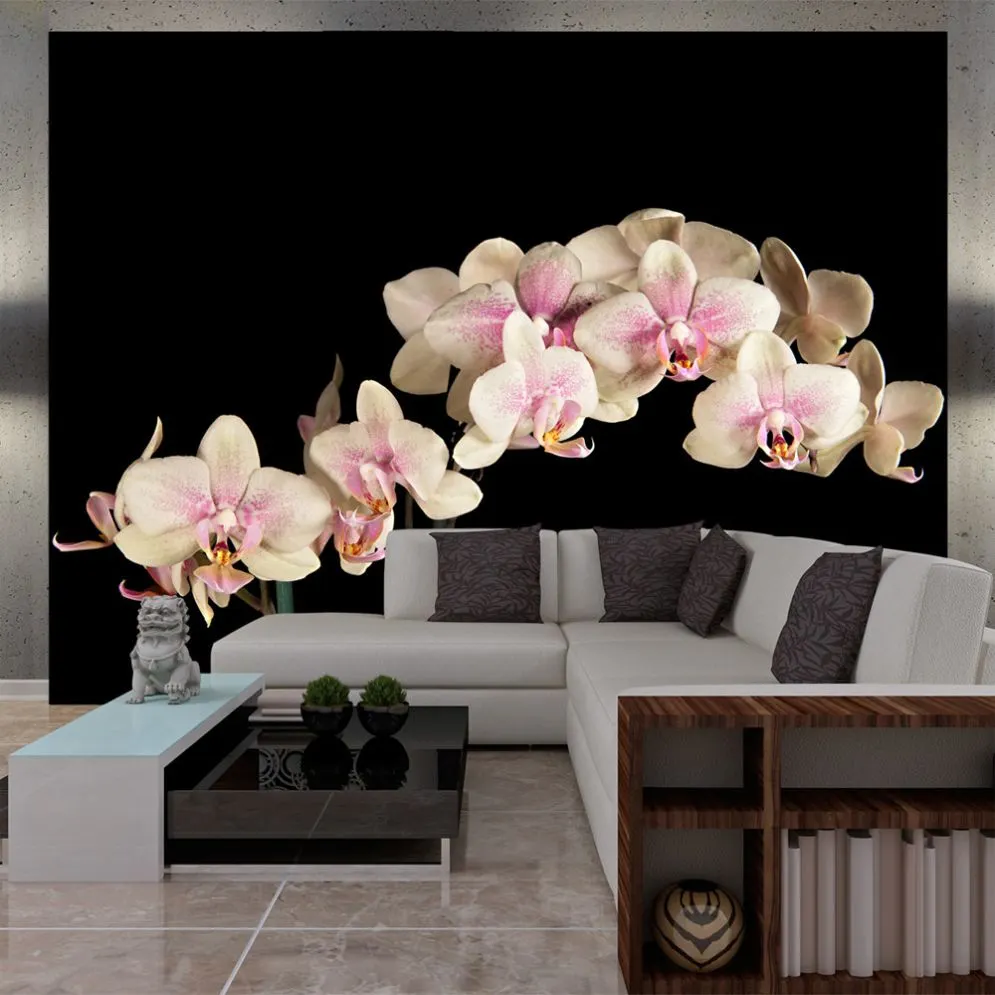 Fototapeta - Kwitnąca orchidea-1
