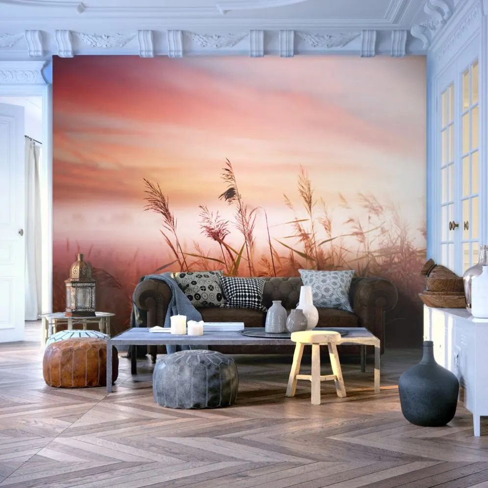 Fototapeta - Łąka o świcie-1