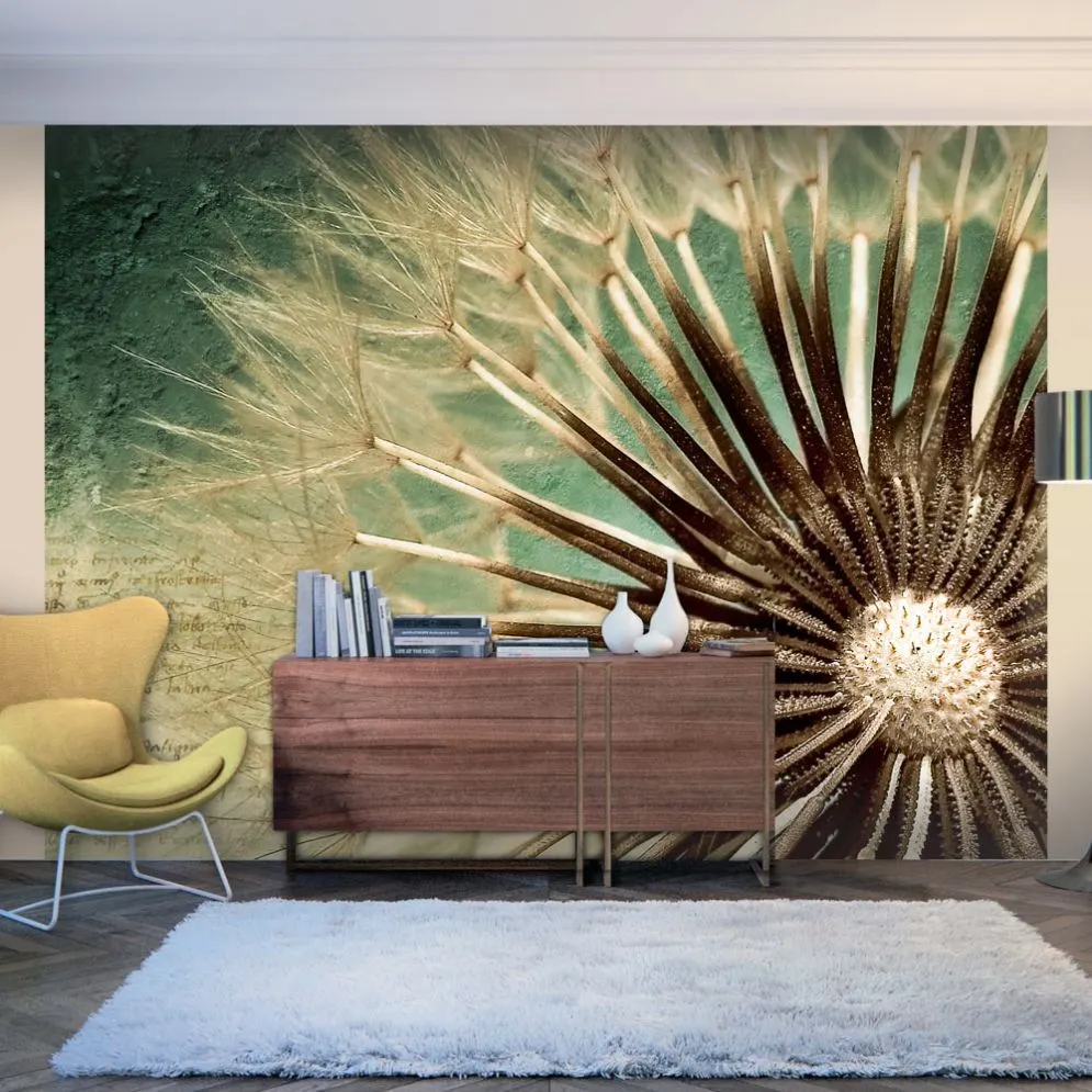 Fototapeta - Focus on dandelion-1