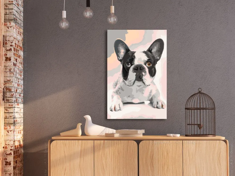 Obraz do samodzielnego malowania - Buldog francuski | MIRAT. w stylu kolekcja
