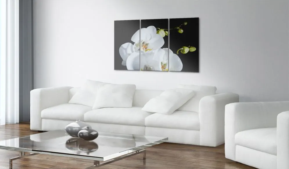 Obraz - Śnieżnobiała orchidea-2