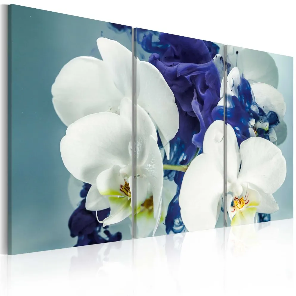Obraz - Chimeryczne orchidee-1