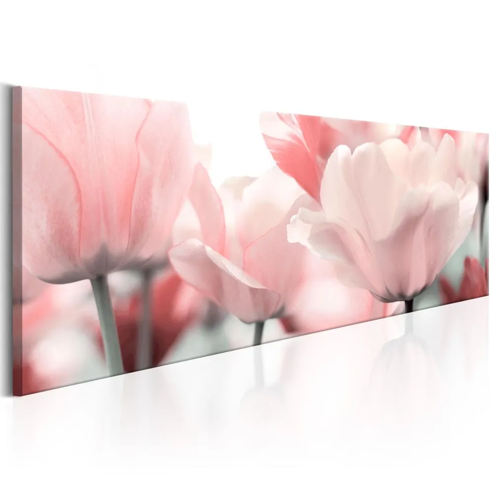 Obraz - Różowe tulipany-1