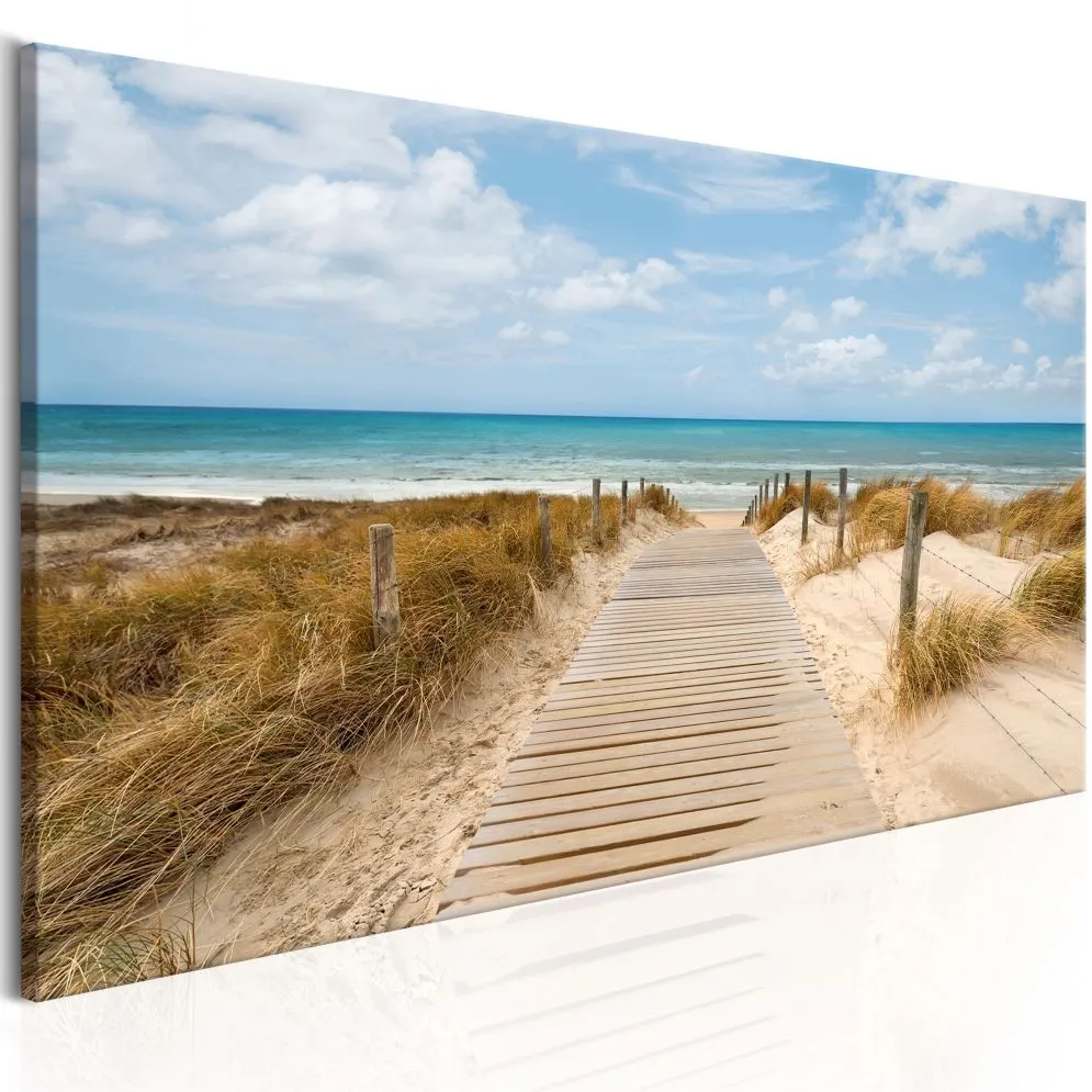 Obraz - Wietrzna plaża-1