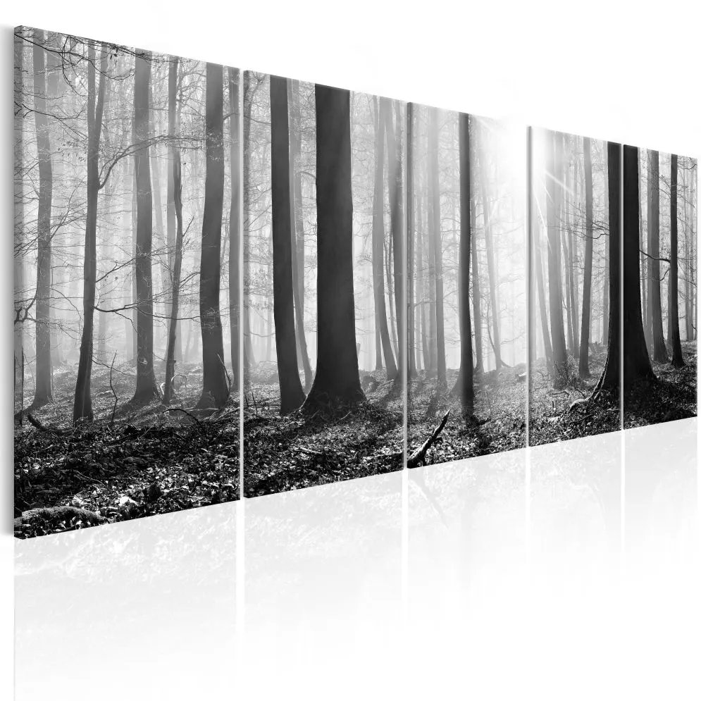 Obraz - Monochromatyczny las-1