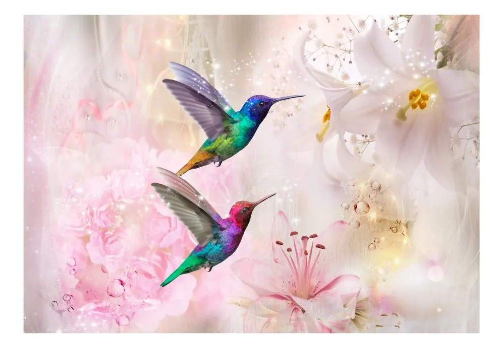 Fototapeta - Kolorowe kolibry (różowy)-2