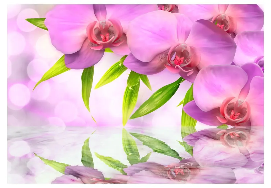 Fototapeta - Orchidee w kolorze lila-2