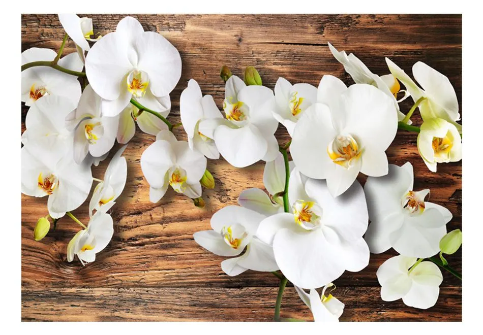 Fototapeta - Leśna orchidea-2
