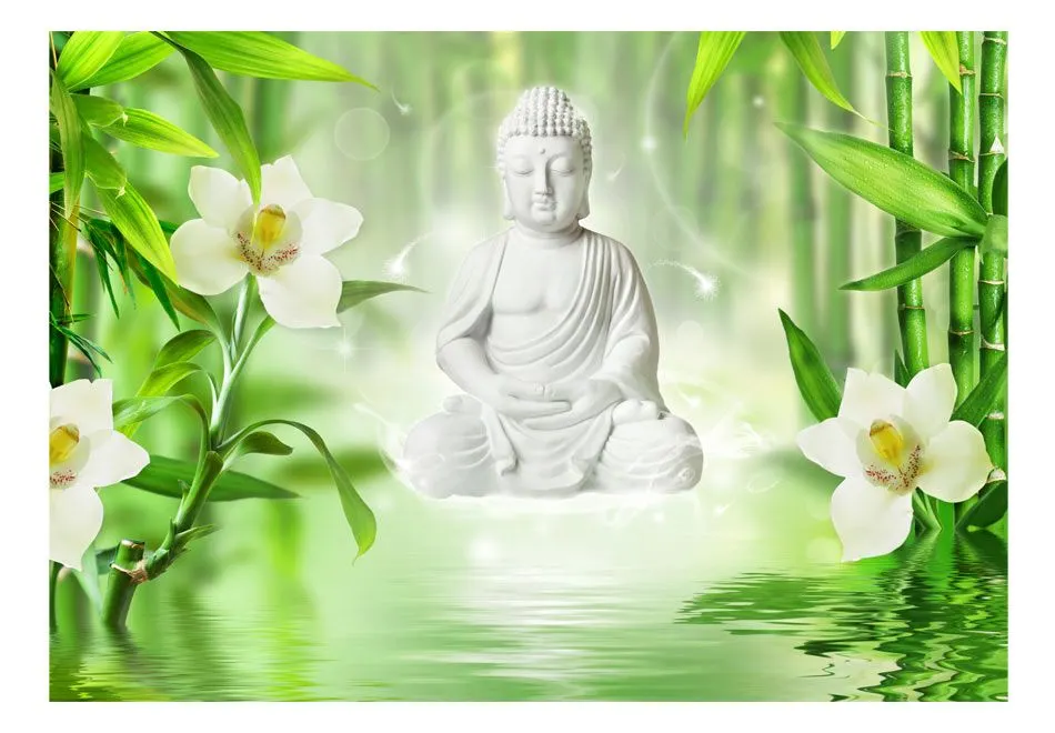 Fototapeta - Budda i natura-2