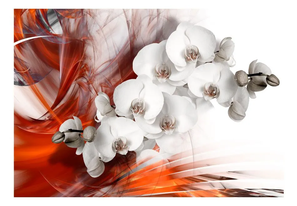 Fototapeta - Orchidea w ogniu II-2