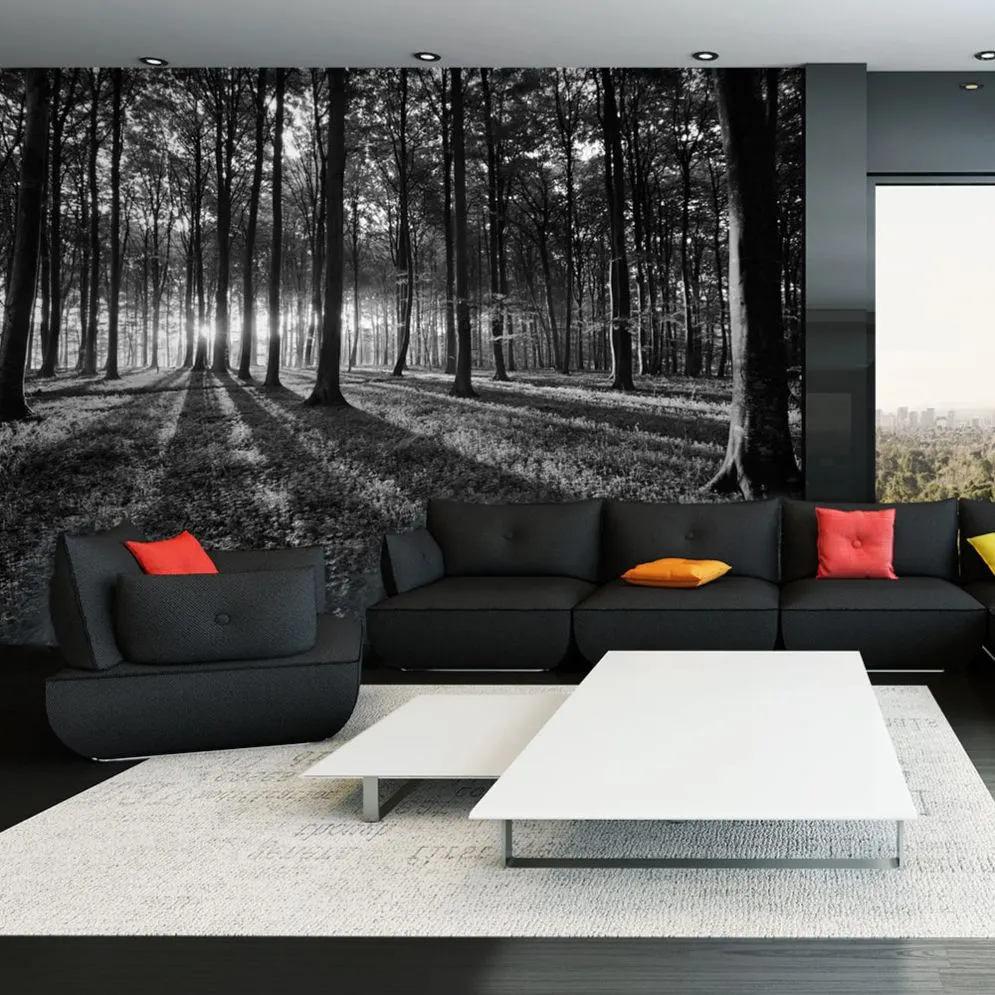 Fototapeta - The Light in the Forest-1