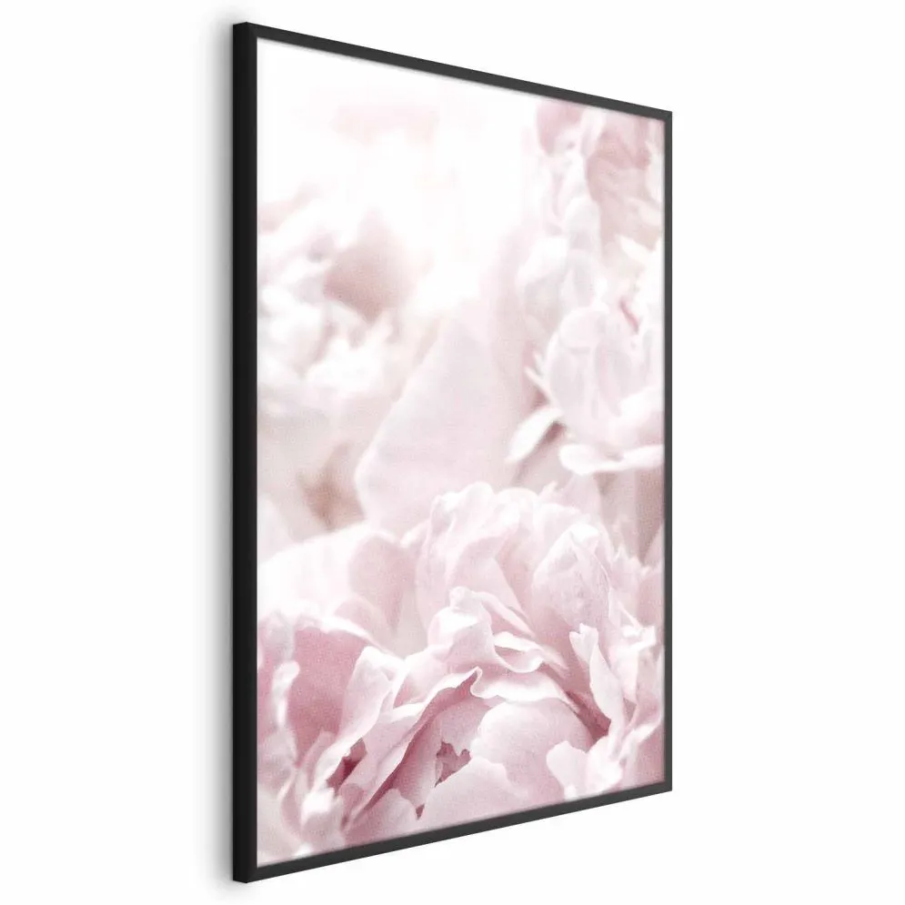 Plakat Puszyste peonie 40x60 cm z ramą czarną bez marginesu | MIRAT.