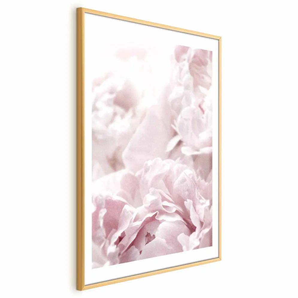 Plakat Puszyste peonie 29,7x42 cm z ramą złotą z marginesem | MIRAT.
