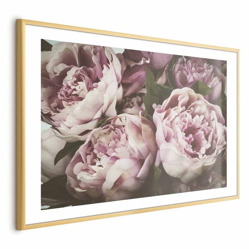 Plakat Różowe piwonie 42x29,7 cm z ramą złotą z marginesem | MIRAT.