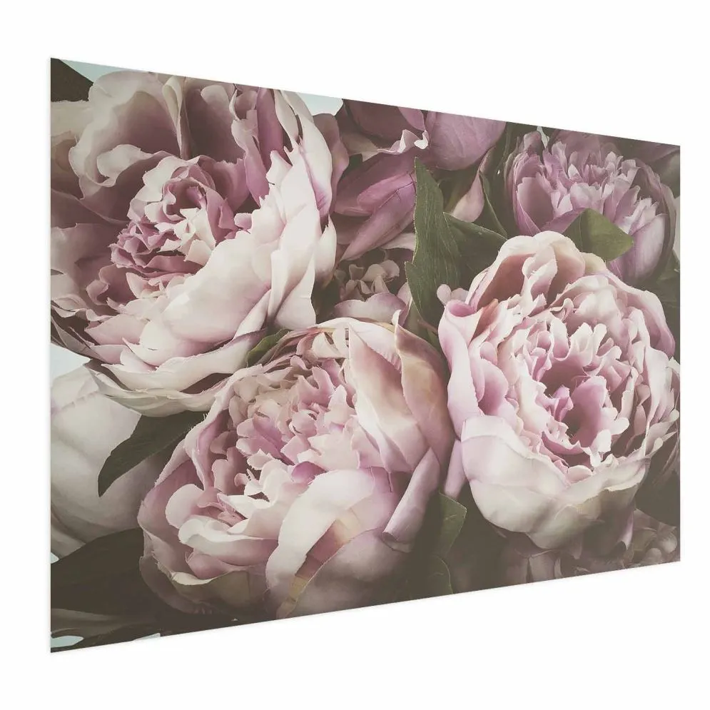Plakat Różowe piwonie 90x60 cm bez ramy bez marginesu | MIRAT.