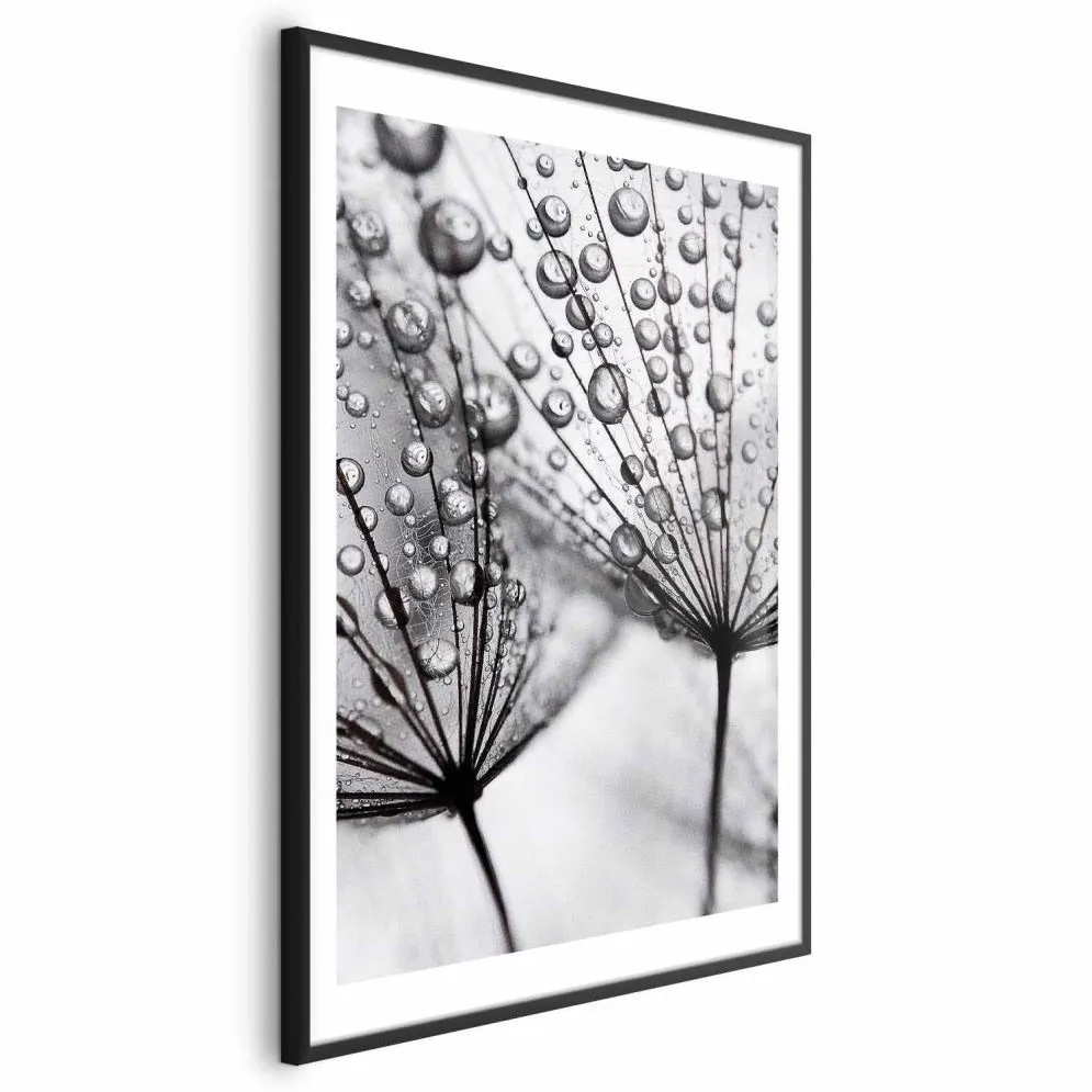 Plakat Rosa 40x60 cm z ramą czarną z marginesem | MIRAT.
