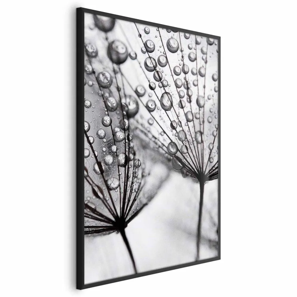 Plakat Rosa 21x30 cm z ramą czarną bez marginesu | MIRAT.