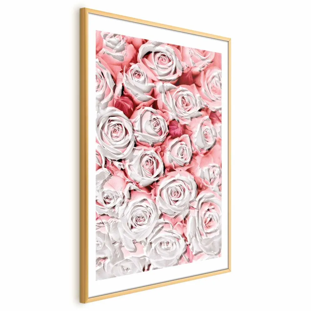 Plakat Białe róże 60x90 cm z ramą złotą z marginesem | MIRAT.