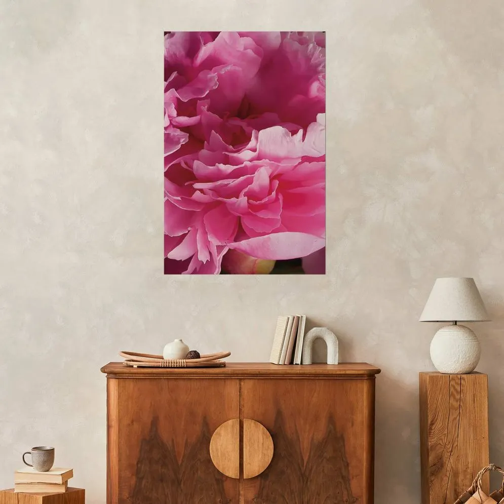 Plakat Piękne piwonie 40x60 cm bez ramy bez marginesu | MIRAT.