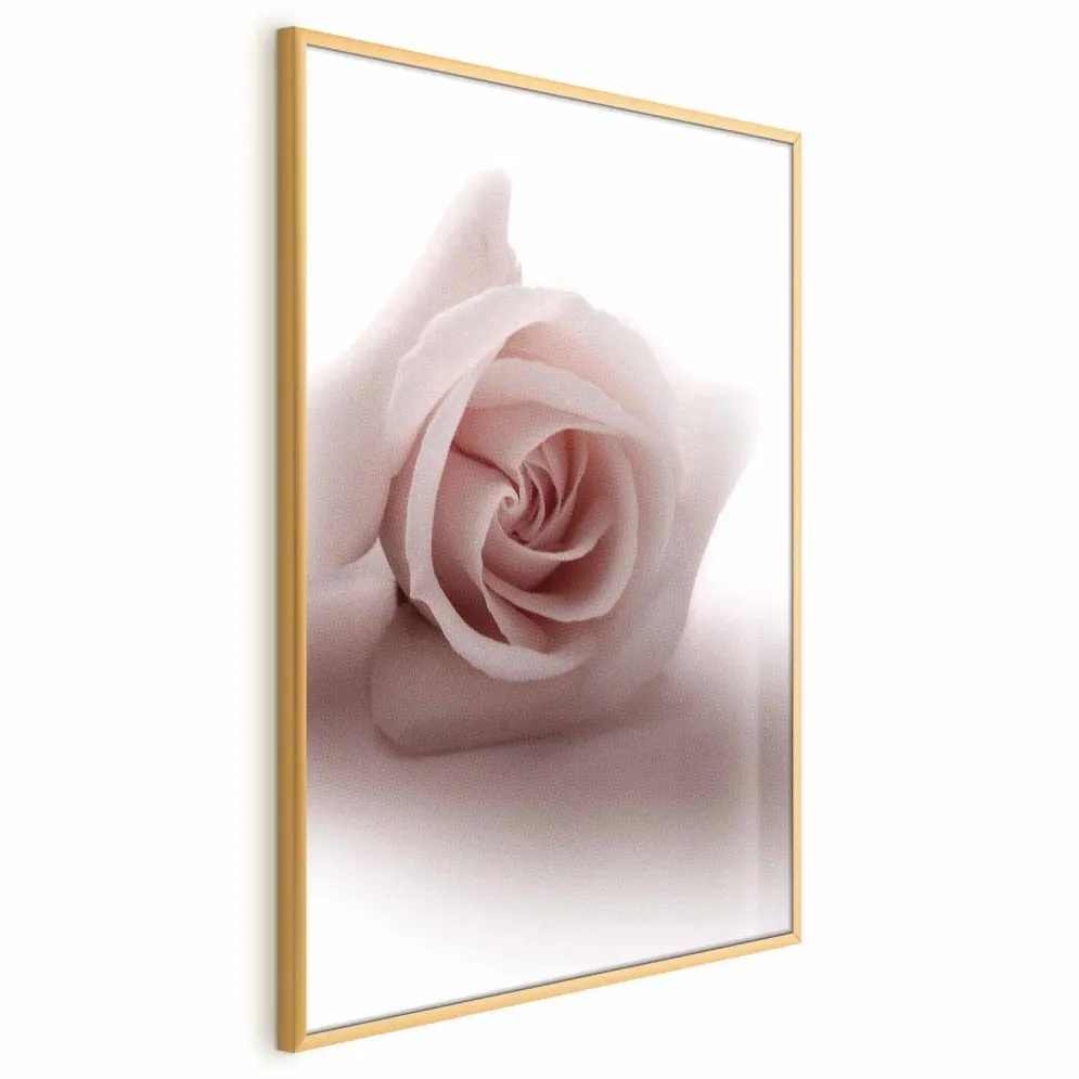 Plakat Różany cień 60x90 cm z ramą złotą bez marginesu | MIRAT.