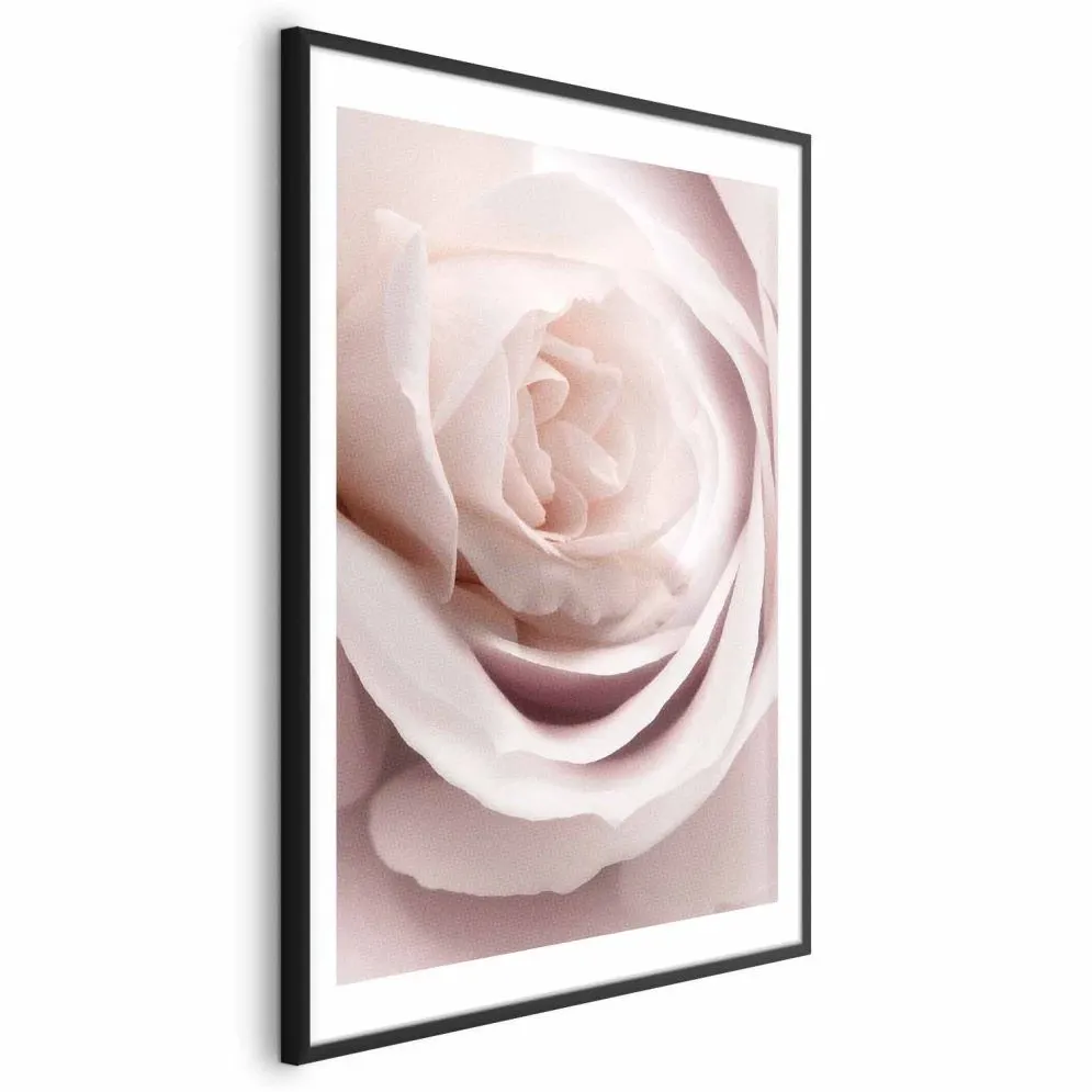 Plakat Porcelanowa róża 60x90 cm z ramą czarną z marginesem | MIRAT.