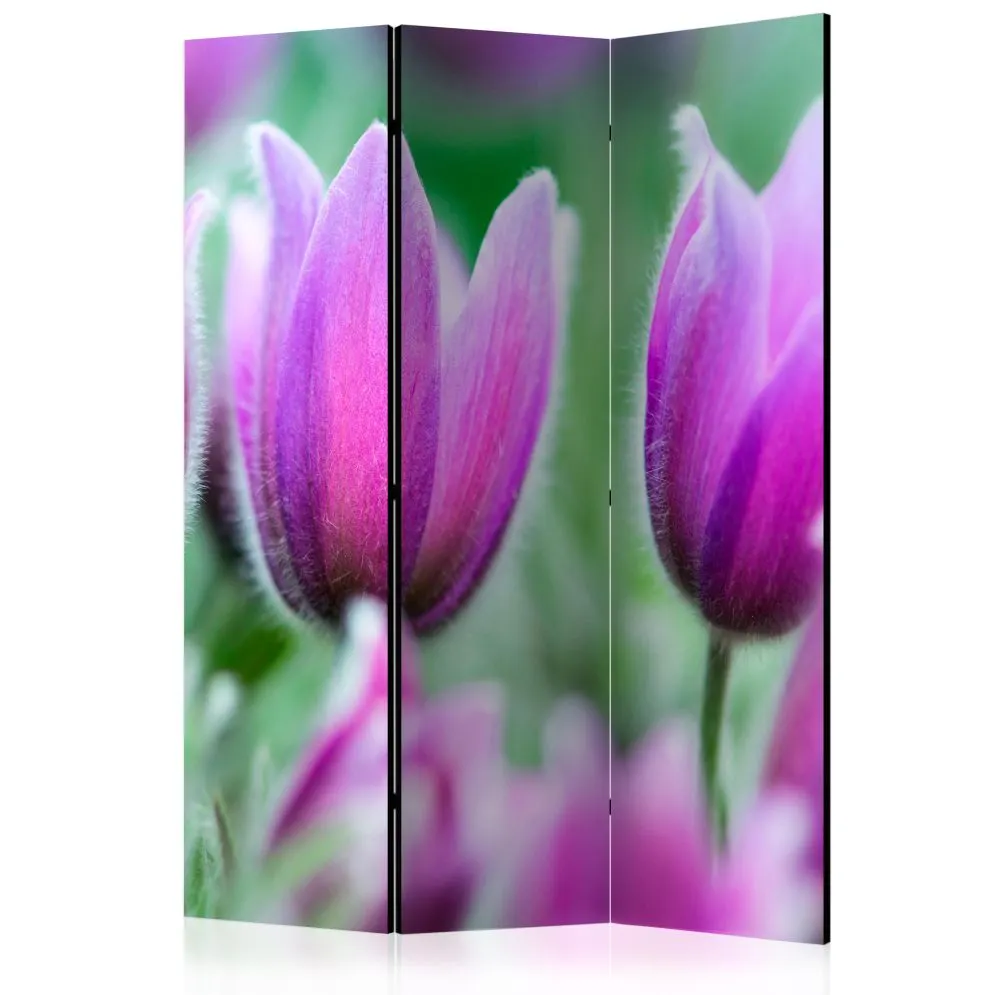 Parawan jednostronny Kwiaty 135x172 cm 3-częściowy wielokolorowy | MIRAT.