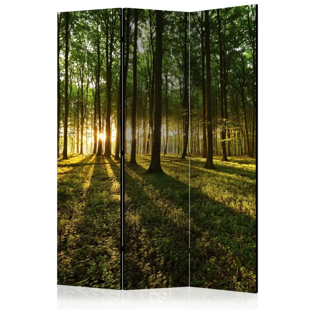 Parawan akustyczny Pejzaże 135x172 cm 3-częściowy zielony | MIRAT.