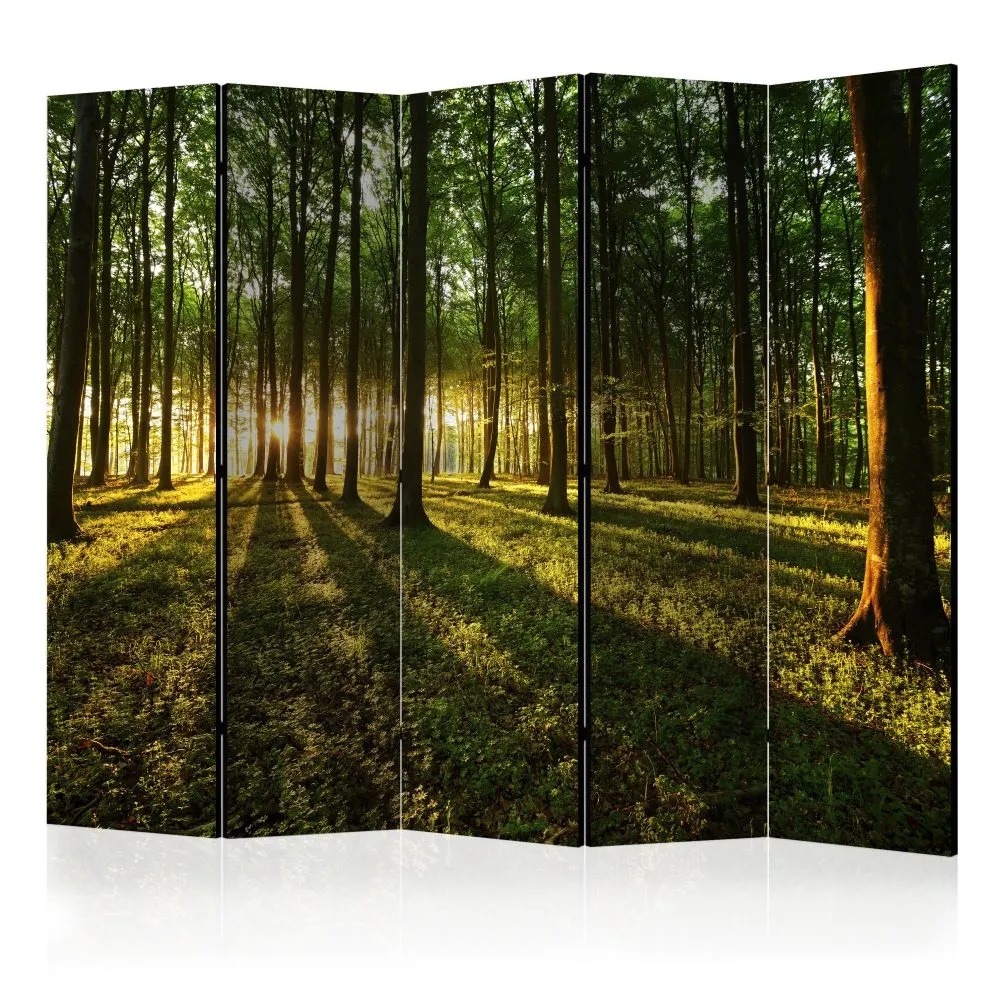 Parawan jednostronny Pejzaże 225x172 cm 5-częściowy zielony | MIRAT.