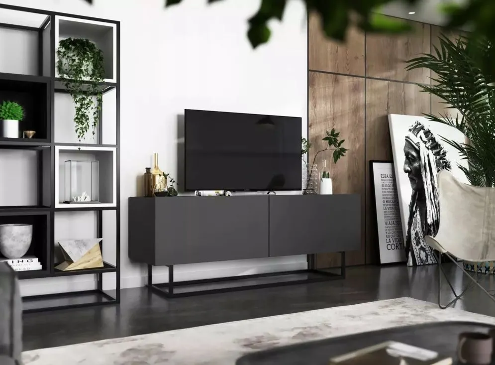 Szafka RTV SELF 4 120 grafitowa mat MEBLE LINDNER | MIRAT. w stylu  kolekcja SELF