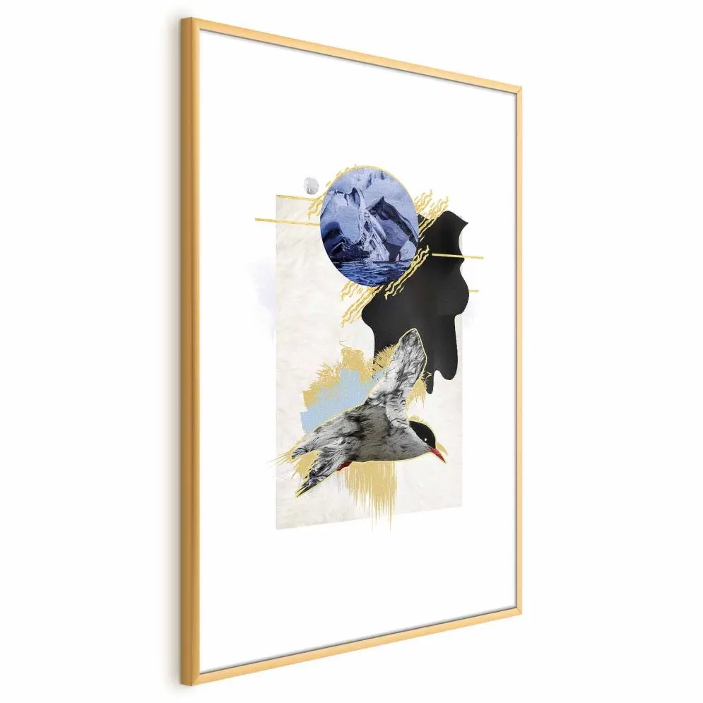 Plakat Rybitwa antarktyczna 40x60 cm z ramą złotą z marginesem | MIRAT.
