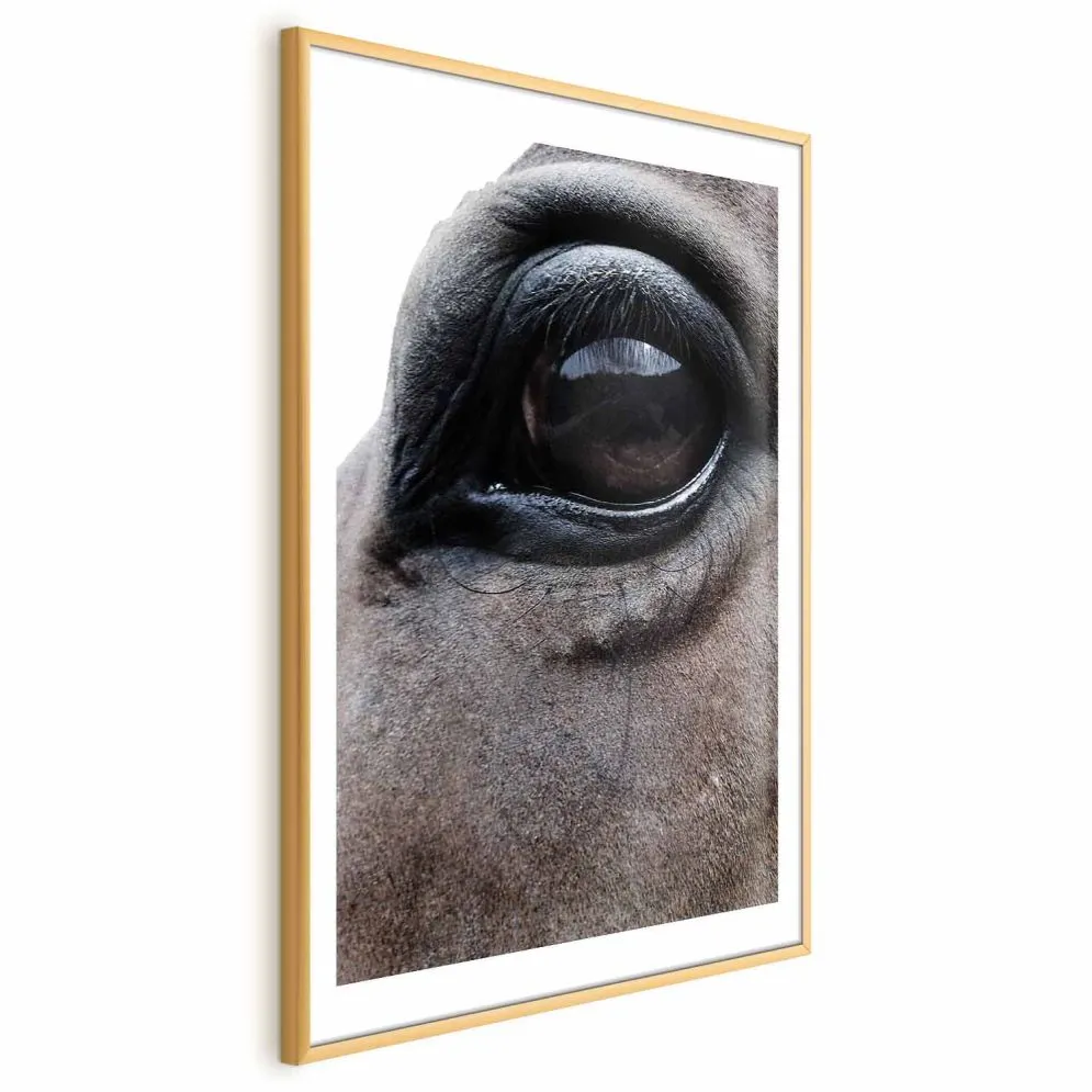 Plakat Szczere oczy 21x30 cm z ramą złotą z marginesem | MIRAT.