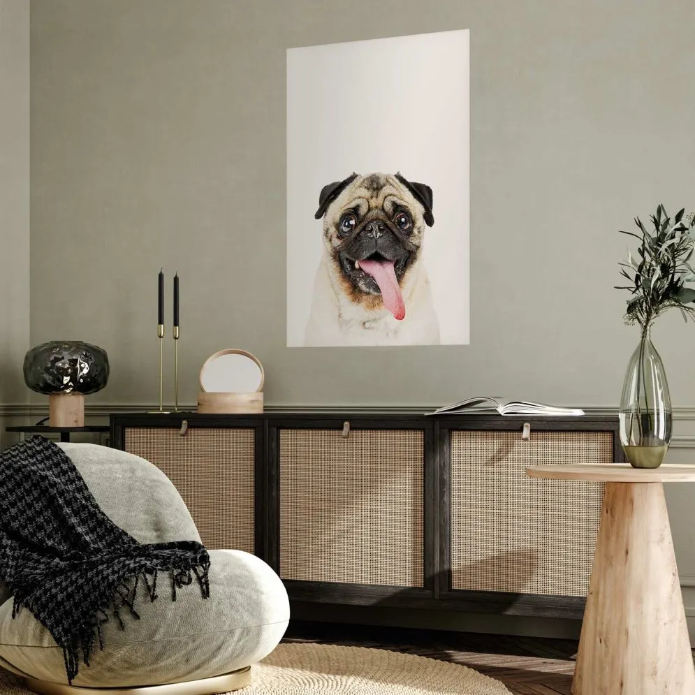Plakat Mops 29,7x42 cm bez ramy bez marginesu | MIRAT.