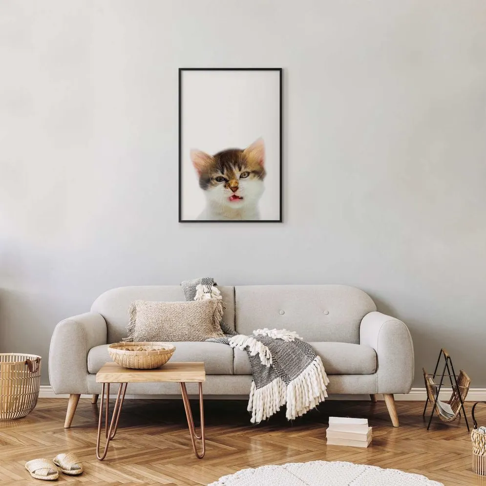 Plakat Zirytowany kot 21x30 cm z ramą czarną bez marginesu | MIRAT.