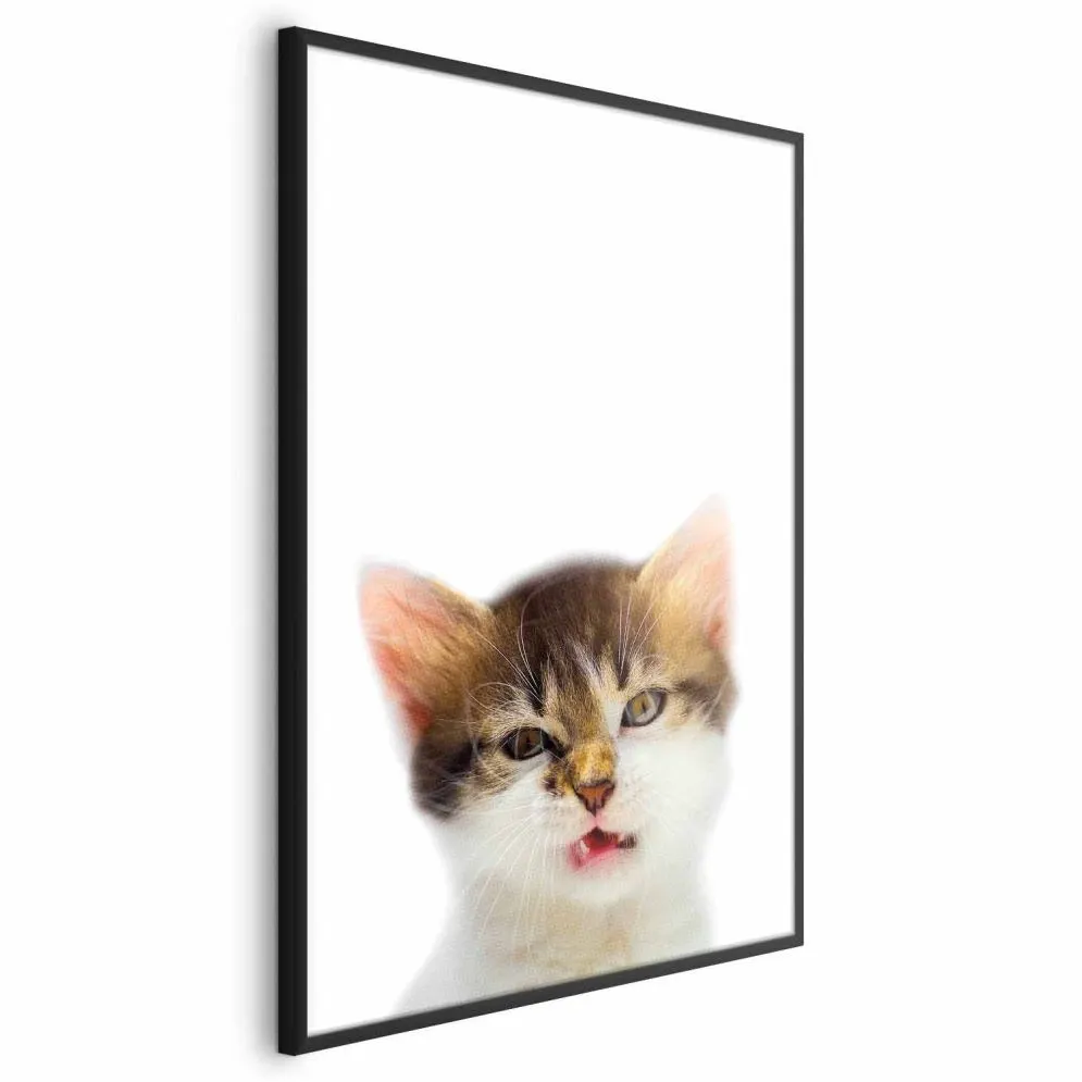 Plakat Zirytowany kot 21x30 cm z ramą czarną bez marginesu | MIRAT.
