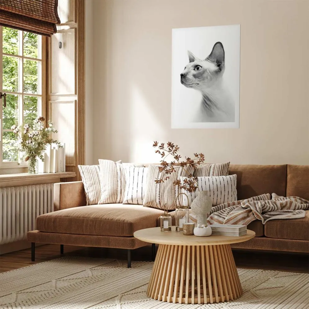 Plakat bezwłosy kot 29,7x42 cm bez ramy z marginesem | MIRAT.