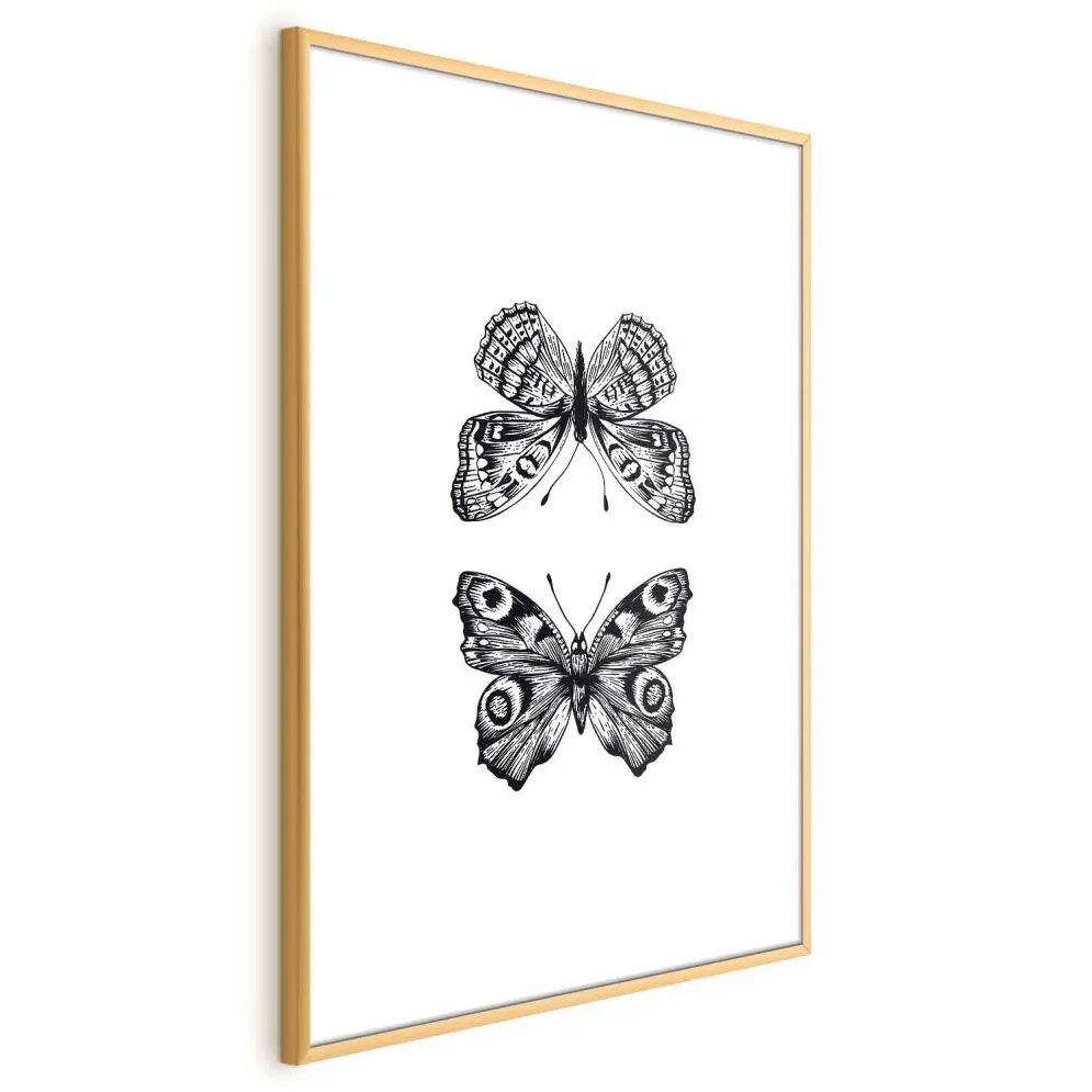 Plakat Dwa motyle 29,7x42 cm z ramą złotą bez marginesu | MIRAT.