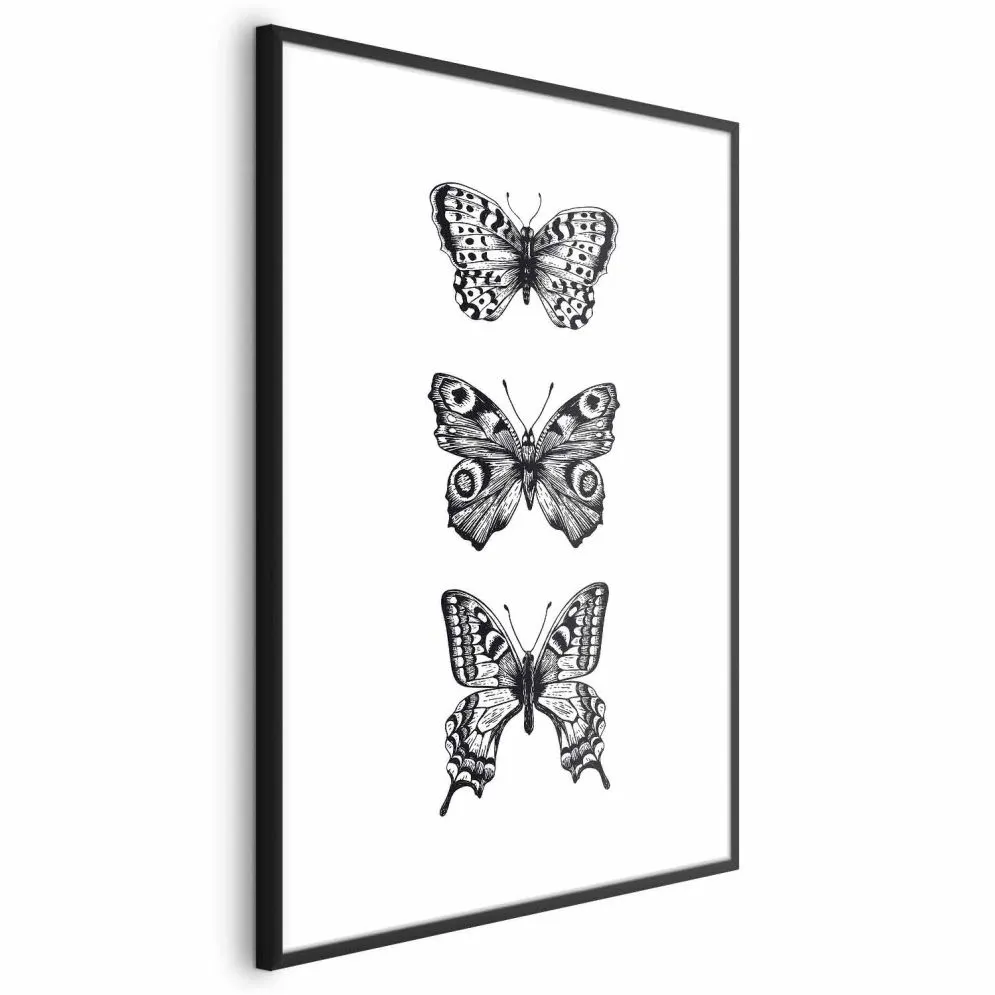 Plakat Trzy motyle 40x60 cm z ramą czarną bez marginesu | MIRAT.