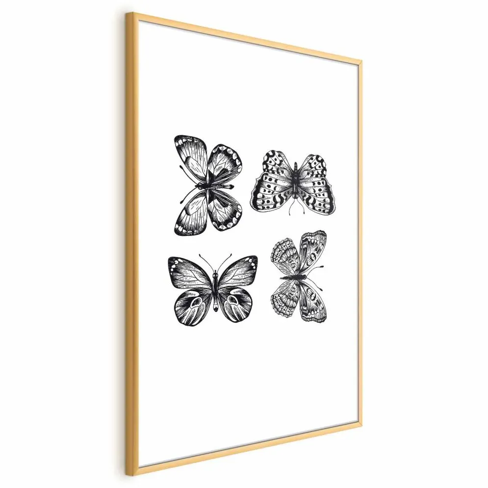 Plakat Cztery motyle 40x60 cm z ramą złotą bez marginesu | MIRAT.