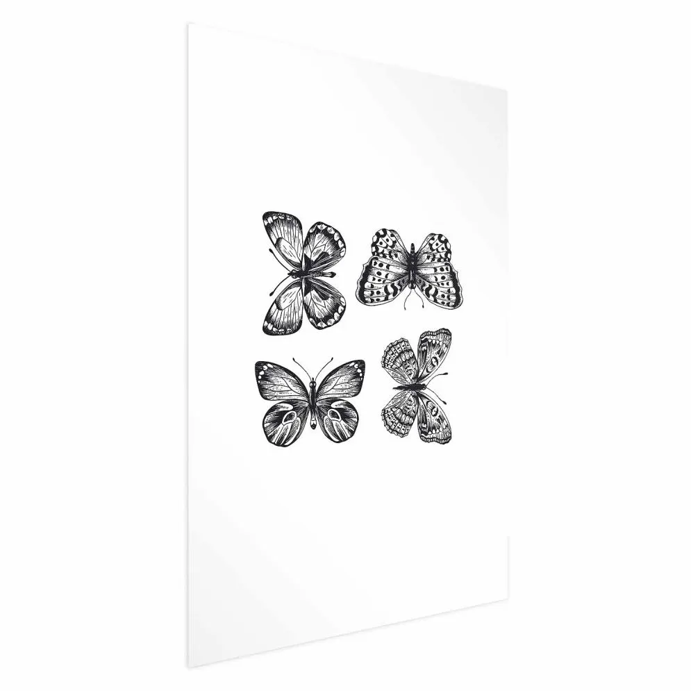 Plakat Cztery motyle 21x30 cm bez ramy z marginesem | MIRAT.