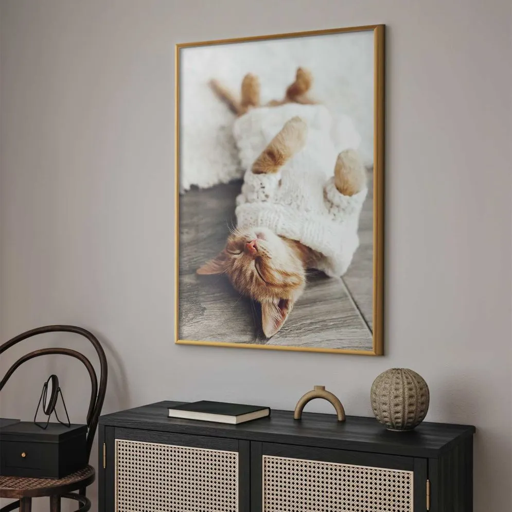 Plakat Leniwy kot 60x90 cm z ramą złotą bez marginesu | MIRAT.