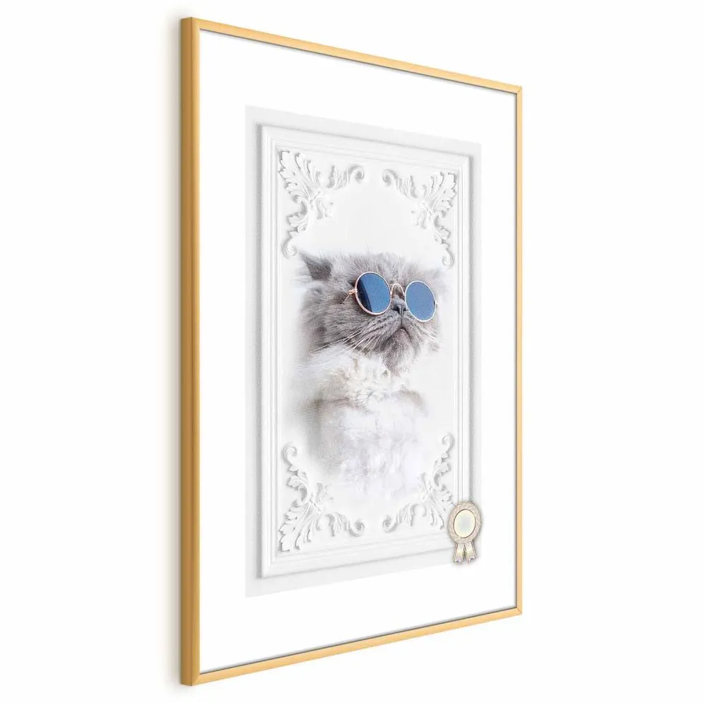 Plakat Kot w okularach 40x60 cm z ramą złotą z marginesem | MIRAT.