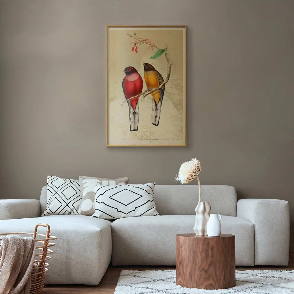 Plakat Ptaki na gałązce 40x60 cm z ramą złotą bez marginesu | MIRAT.