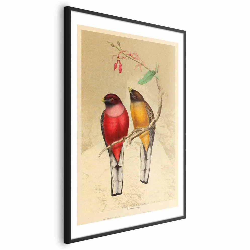 Plakat Ptaki na gałązce 60x90 cm z ramą czarną z marginesem | MIRAT.